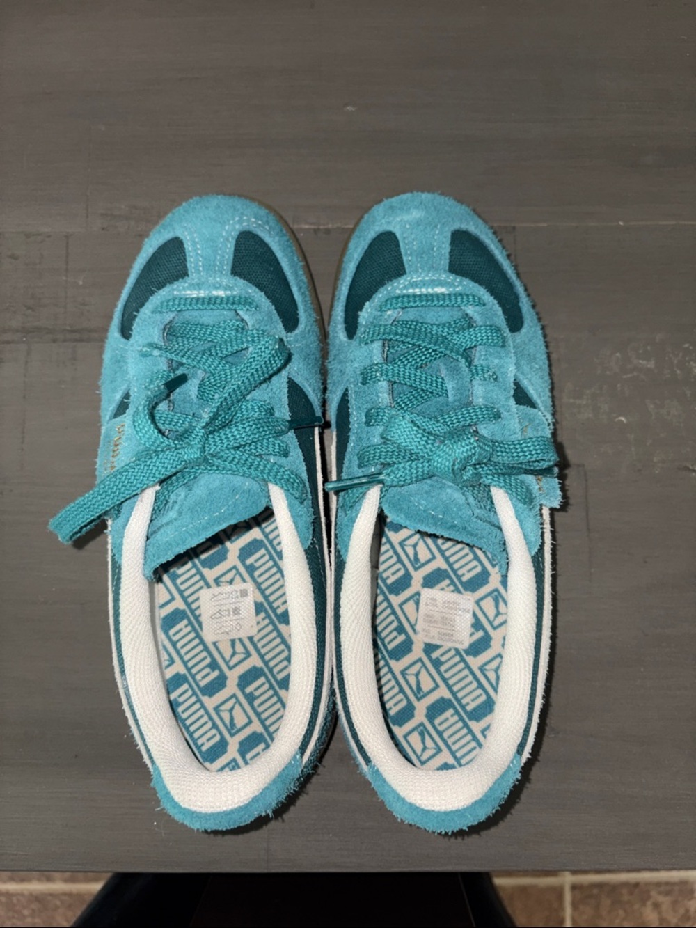 Puma Palermo Suede Sneakers (size 8)